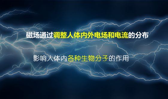 好安森糖尿病治疗仪：磁场疗法对人体微循环的生物效应