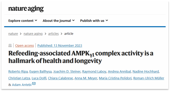 Nature：激活AMPKγ1复合体，可有效改善了代谢健康和寿命
