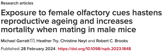 雄性寿命或因雌性气味受影响：感知雌性气息或加速雄性生殖衰老及提升死亡率