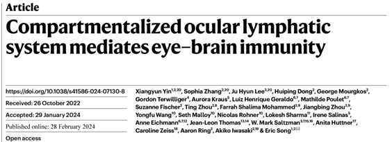 《自然》揭秘：眼睛成大脑免疫防线，耶鲁研究揭示共享回路与统一免疫反应