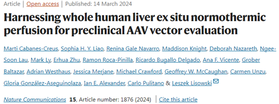 Nat Commun突破：人类完整肝脏基因疗法首测成功