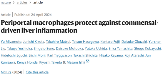 《自然》揭秘：科学家发现特殊肝脏驻留巨噬细胞，守护“肝门”防线，抵御肠道炎症侵袭