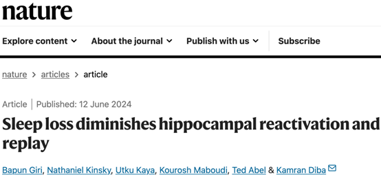 《自然》揭秘：睡眠不足永久损伤记忆，科学家发现海马体再激活受阻，补觉难挽狂澜
