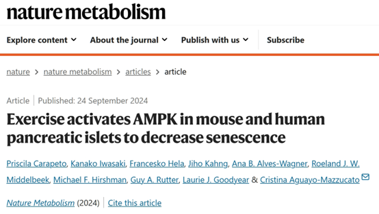《自然·代谢》揭秘：奔跑助力胰岛细胞逆龄！哈佛研究揭示运动激活AMPK通路