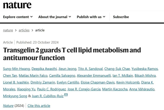 《自然》揭示：卵巢癌狡猾阻断T细胞脂质供应，削弱其抗癌能力